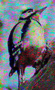 woodpecker 3 bpp rgb with dither