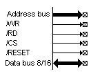 8080 bus type